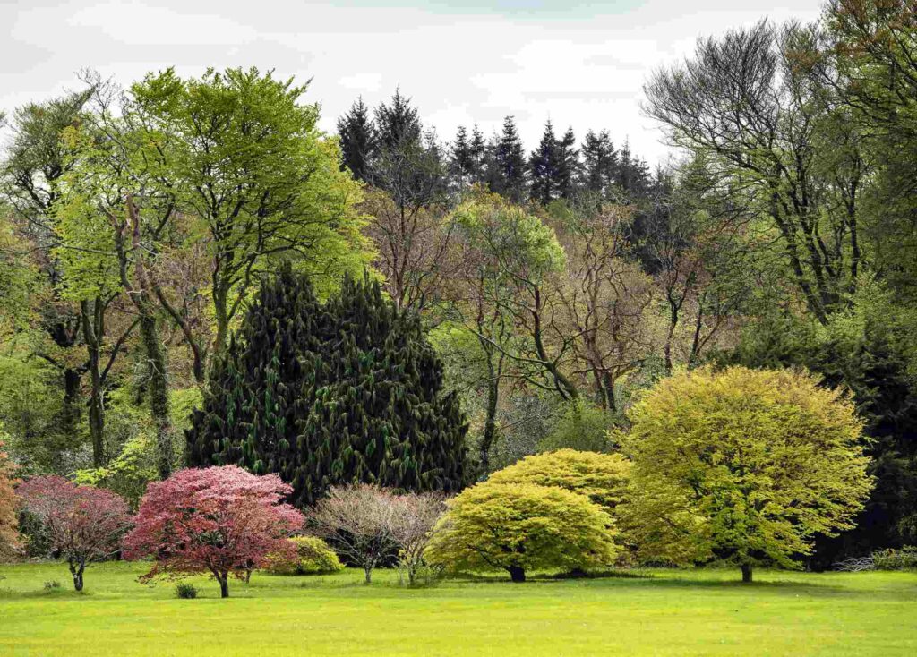 JFK Arboretum - Heritage Ireland