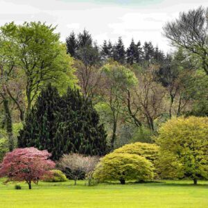 JFK Arboretum - Heritage Ireland